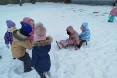 IMG_20260113_102712-Copy