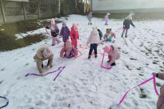 IMG_20260115_101920-Copy